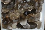 Lot: Lbs Smoky Quartz Crystals (-) - Brazil #77830-2